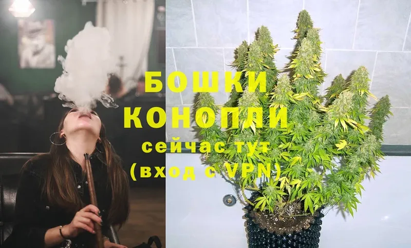 цена   Высоковск  Конопля THC 21% 